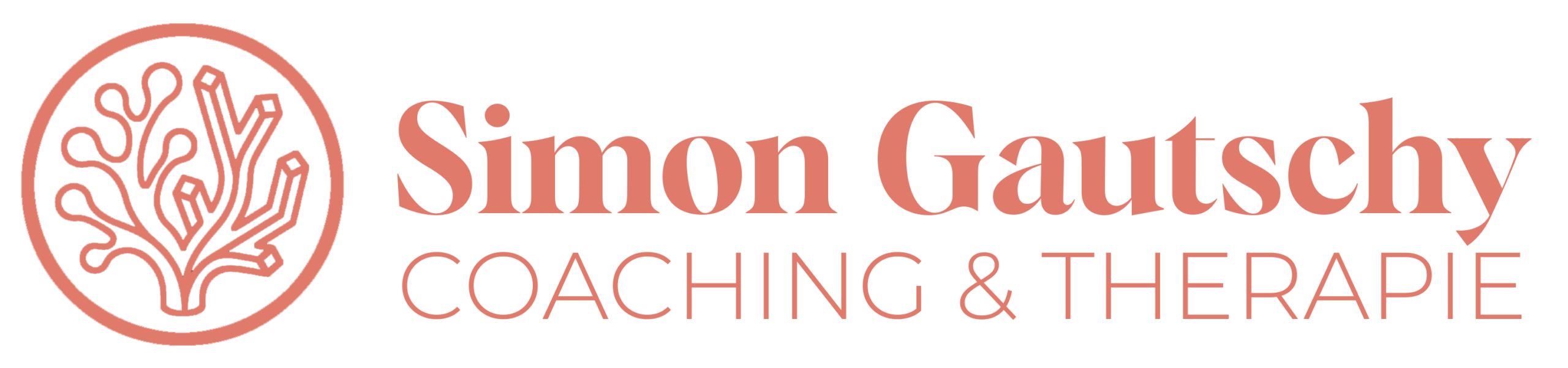Simon Gautschy